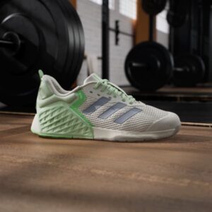 dropset 3 trainer w halsil/segrsp/limbur