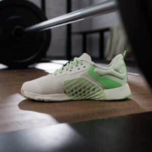 dropset 3 trainer w halsil/segrsp/limbur