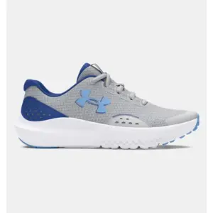 ua bgs surge 4
