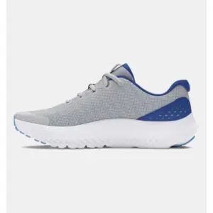 ua bgs surge 4