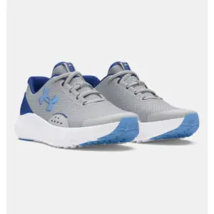 ua bgs surge 4