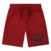 jordan mesh pe short
