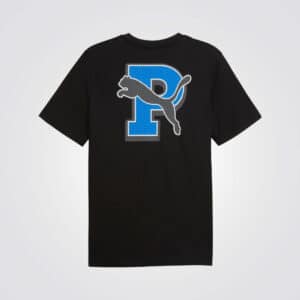 graphic varsity tee