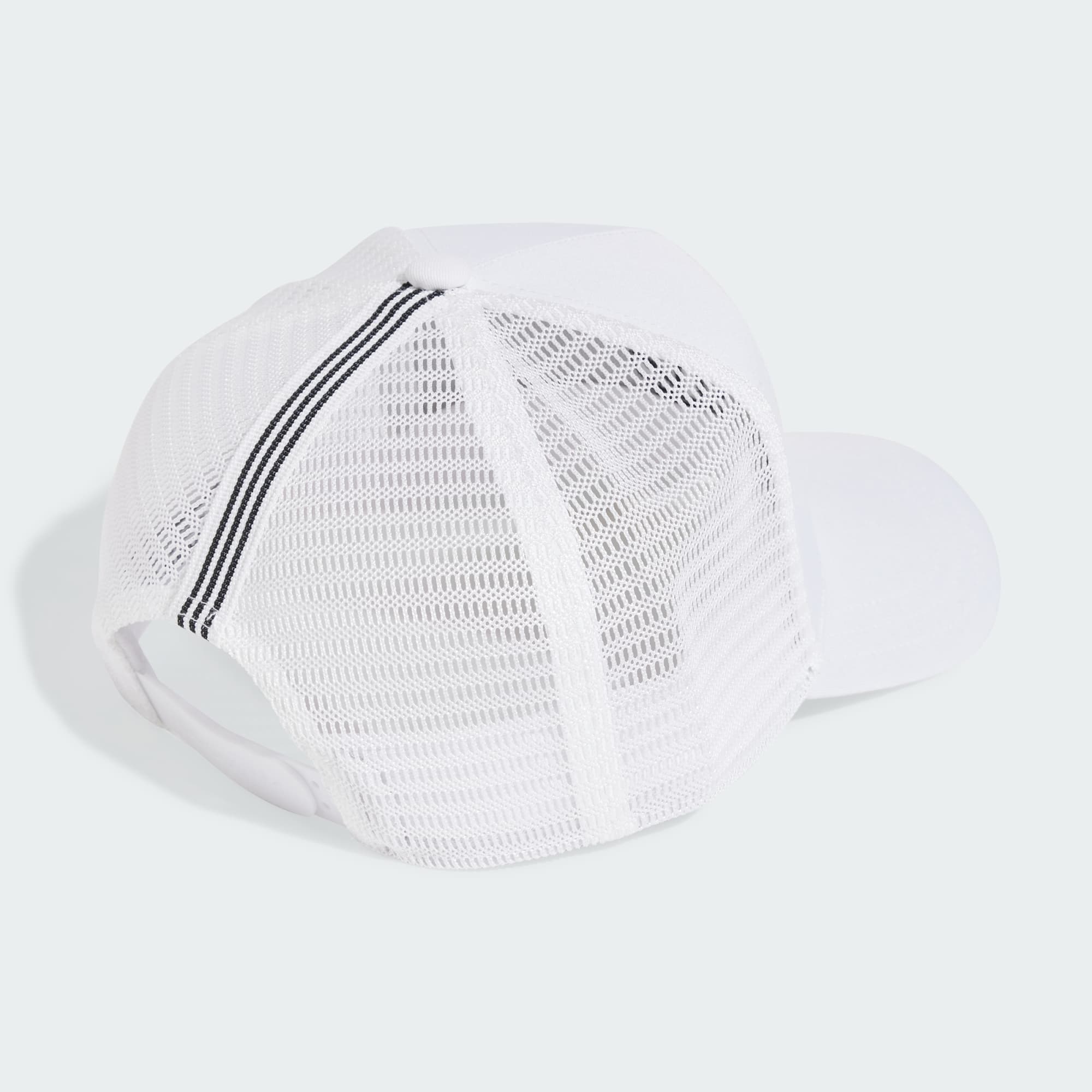 curved trucker
