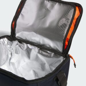 cooler bag