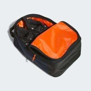 shoe bag