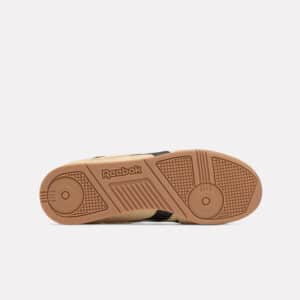 campio xt