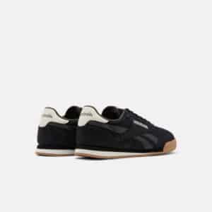 campio xt